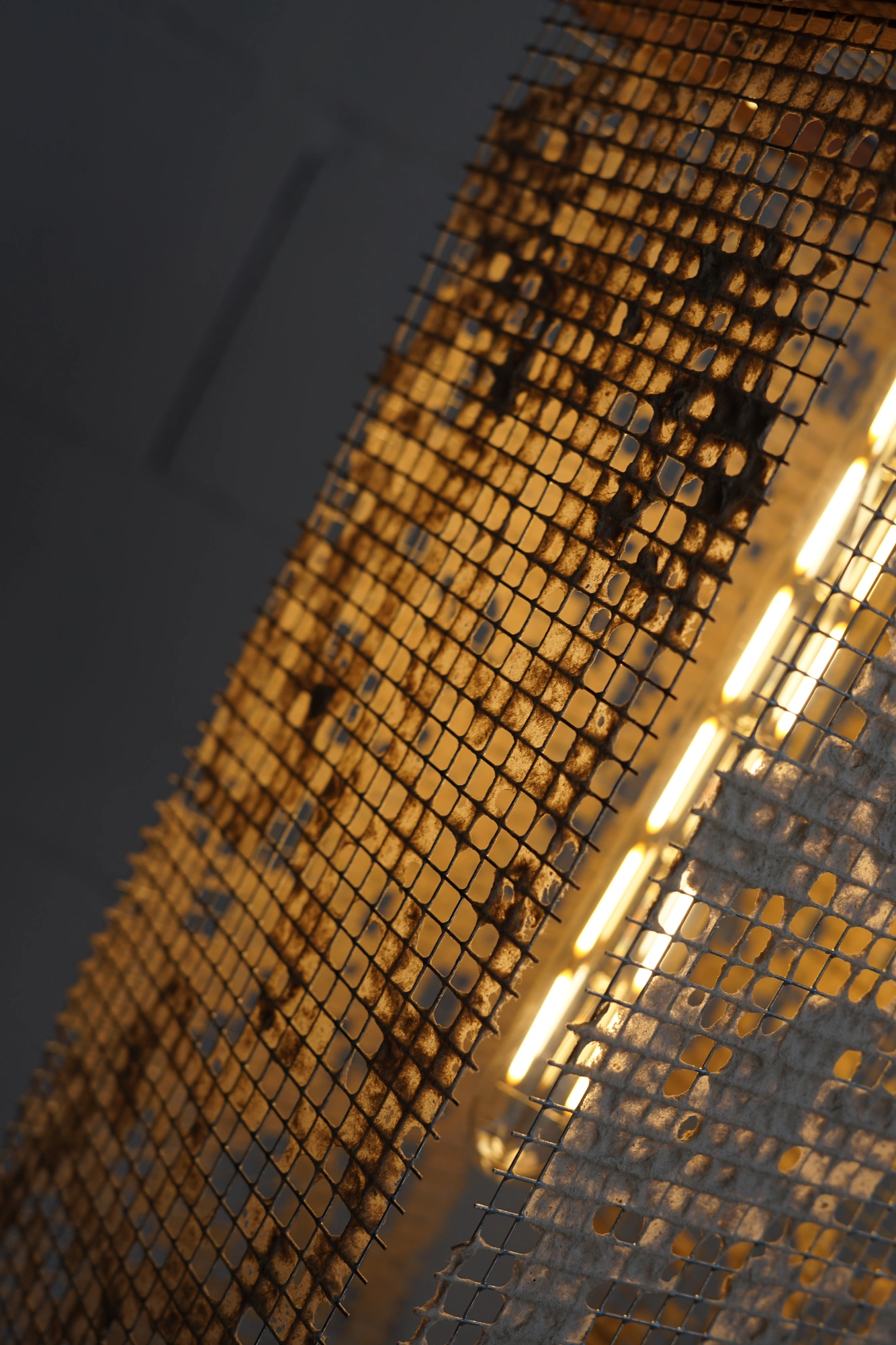 Walk in the Park Chair - Classic and organic design with mid-century curves, inspired by Scandinavian and modernist styles. Comfortable and suitable for various environments and people. Refined simplicity with a timeless aesthetic.