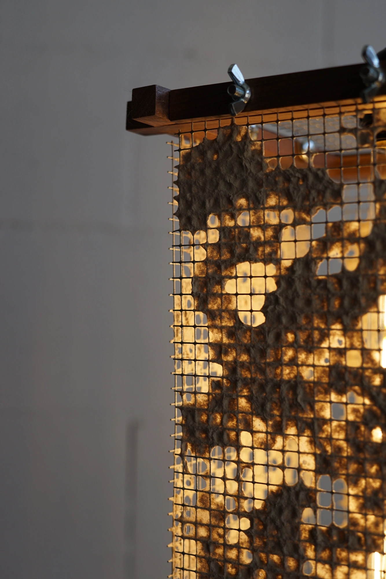 Walk in the Park Chair - Classic and organic design with mid-century curves, inspired by Scandinavian and modernist styles. Comfortable and suitable for various environments and people. Refined simplicity with a timeless aesthetic.