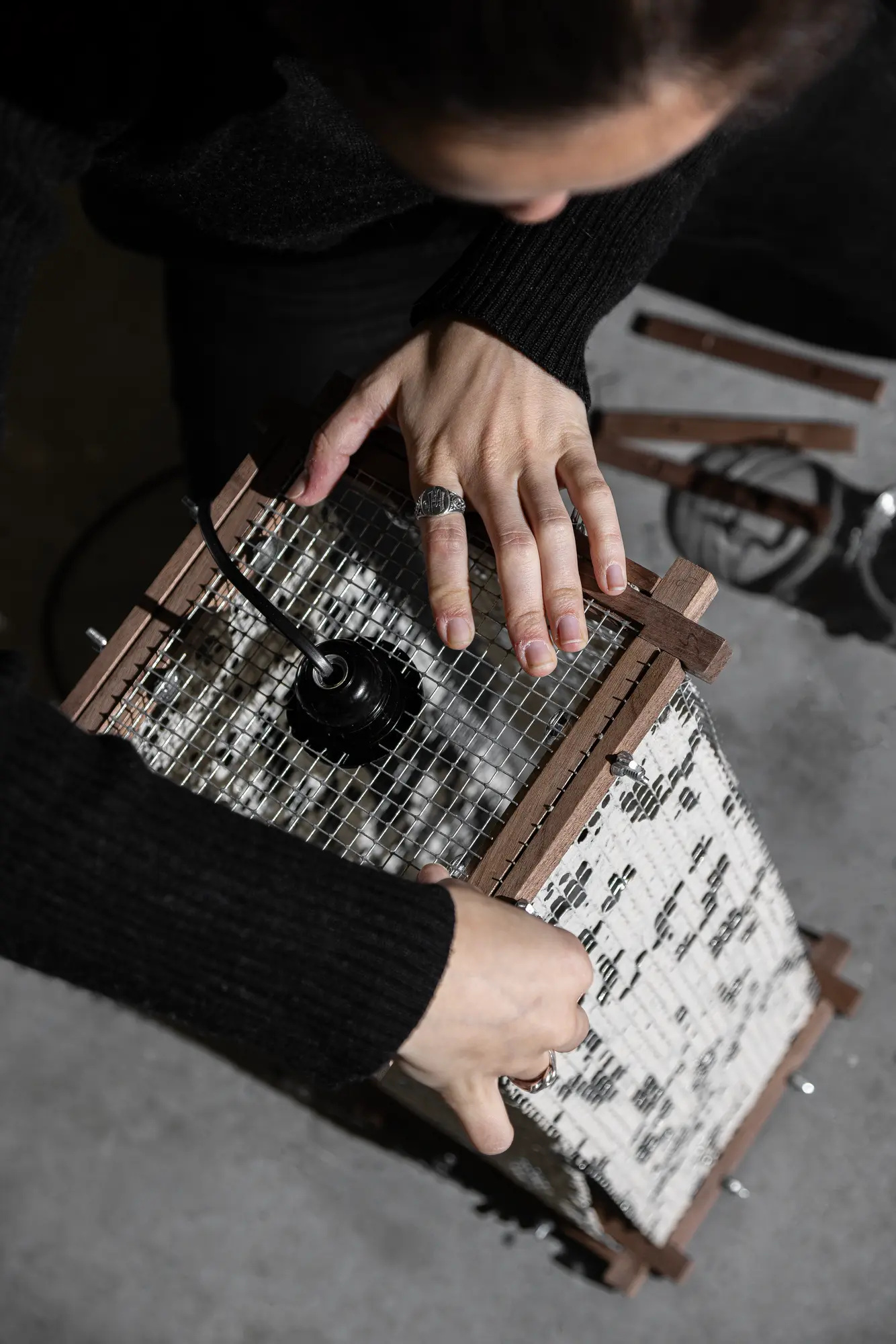 Walk in the Park Chair - Classic and organic design with mid-century curves, inspired by Scandinavian and modernist styles. Comfortable and suitable for various environments and people. Refined simplicity with a timeless aesthetic.