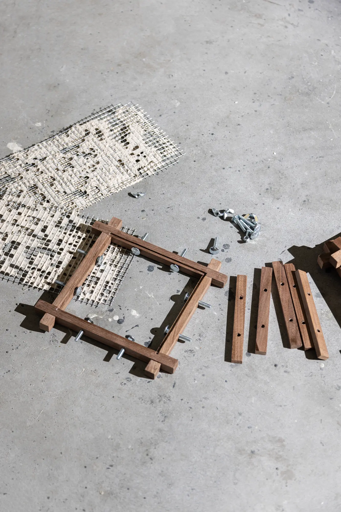 Walk in the Park Chair - Classic and organic design with mid-century curves, inspired by Scandinavian and modernist styles. Comfortable and suitable for various environments and people. Refined simplicity with a timeless aesthetic.